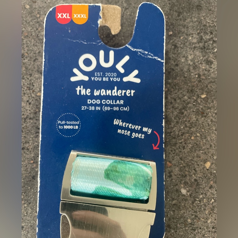 Youly Teal and Silver Dog Collar